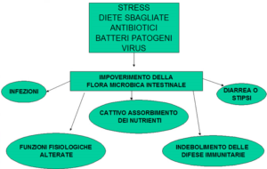 disbiosi intestinale 1