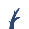 Omeopatia